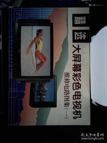 精選大屏幕彩色電視機(jī)維修電路圖集.一
