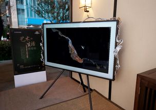 三星跨界故宮設(shè)計(jì)師開(kāi)啟藝術(shù)生活,雙11電視刮宮廷風(fēng)