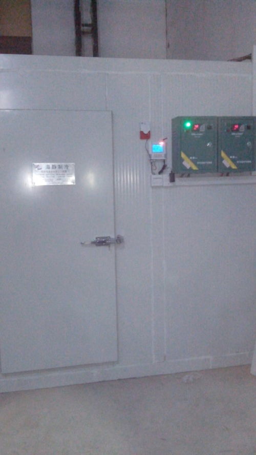 冷庫維修報價與家電服務指南